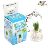 Набор для опыта &laquo;Живой брелок&raquo;, мини-сад, выращивание травы