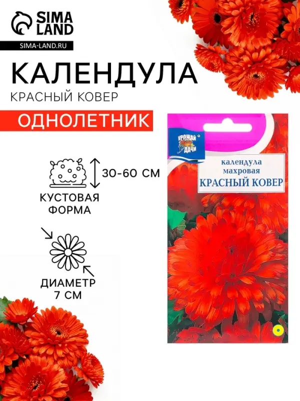 Семена цветов Календула махровая «Красный ковёр», 0.3 г, «Урожай удачи» Семена цветов Календула махровая «Красный ковёр», 0.3 г, «Урожай удачи»