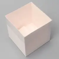 Коробка для цветов с PVC крышкой, 12×12×12 см, белая