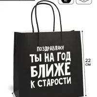 Пакет подарочный, упаковка, &laquo;На год ближе к старости&raquo;, 22&times;22&times;11 см