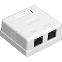 Розетка внешняя двойная ExeGate SM2-RJ45-C5 RJ-45 кат.5/5E UTP Krone/110