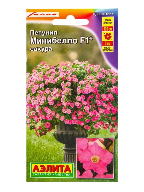 Семена цветов Петуния мини Минибелло F1 сакура многоцветковая (драже) С. Farao, Ц/П,5 шт. Семена цветов Петуния мини Минибелло F1 сакура многоцветковая (драже) С. Farao, Ц/П,5 шт.