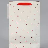 Пакет ламинированный &laquo;Важный момент&raquo;, 22.3&times;9&times;35 см