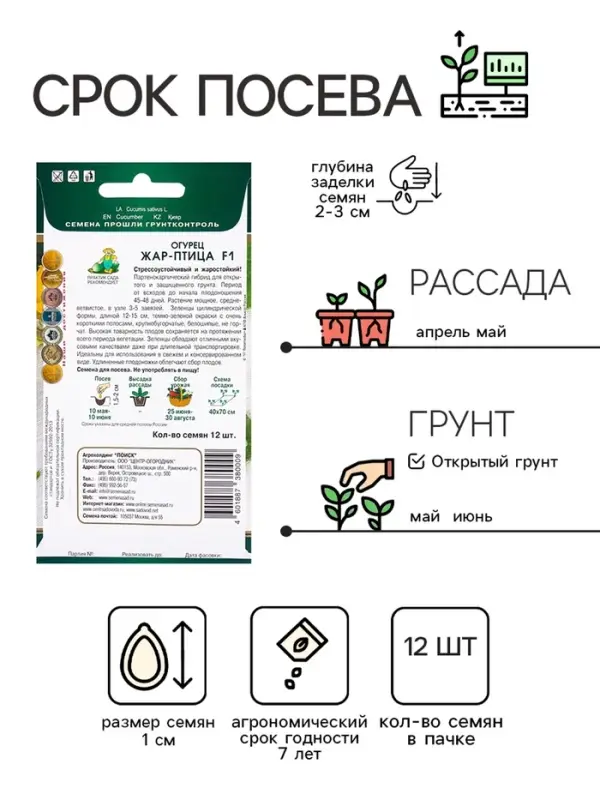 Семена Огурец Жар-птица, F1, 12шт