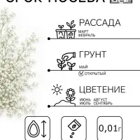 Семена цветов Лобелия ампельная &laquo;Белый каскад&raquo;, 0.01 г