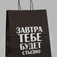 Пакет подарочный &laquo;Завтра тебе будет стыдно&raquo;, 24&times;14&times;28 см, крафт