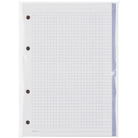 Сменный блок для тетрадей на кольцах, BeSmart А5 120л клетка Цветной N001d