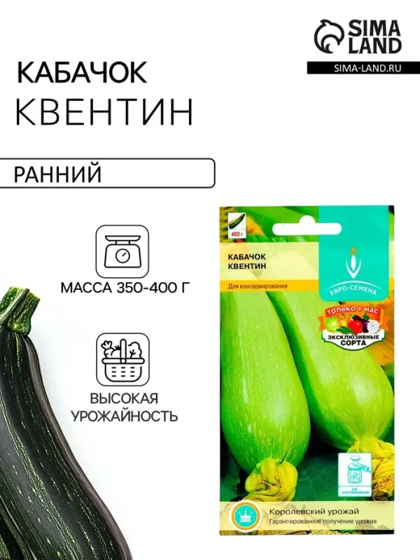 Семена Кабачок &laquo;Квентин&raquo;, 10 шт., &laquo;Евро-семена&raquo;