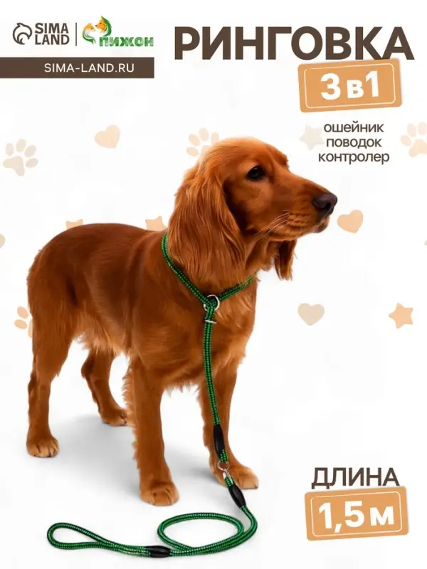 Ринговка для собак, 150&times;0.6 см, с вертлюгом, чёрная, зелёная