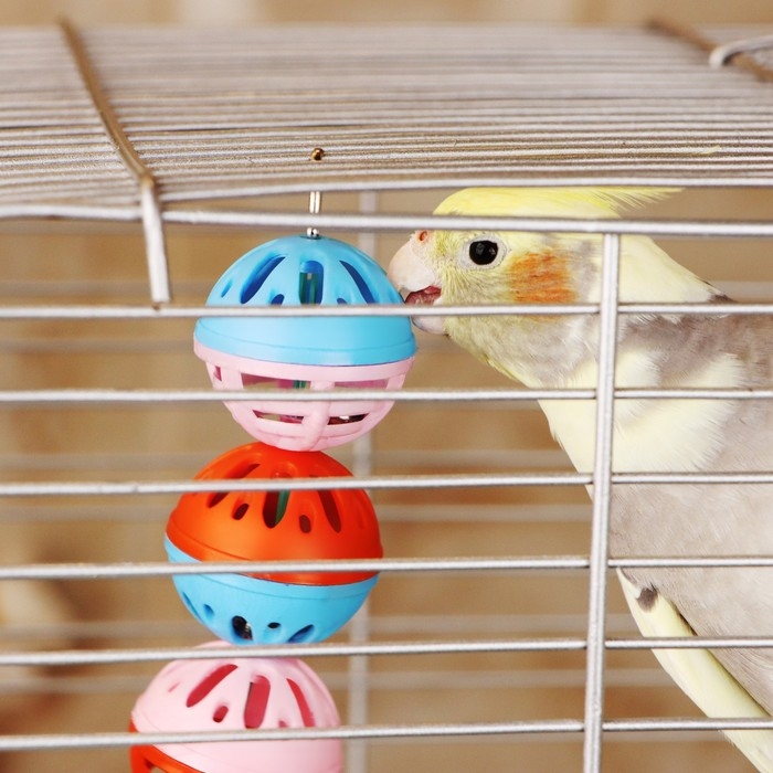 Игрушка для попугая  Игрушка для попугая "Забава" с 3 шариками, микс