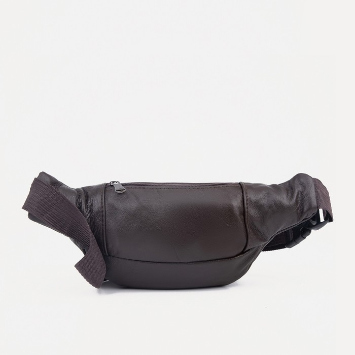 Сумка поясная на молнии, цвет коричневый Сумка поясная на молнии, цвет коричневый