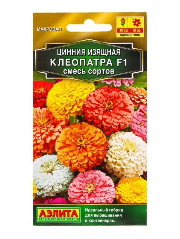 Семена цветов Цинния Клеопатра F1, смесь сортов Золотая серия, Ц/П,12 шт. Семена цветов Цинния Клеопатра F1, смесь сортов Золотая серия, Ц/П,12 шт.