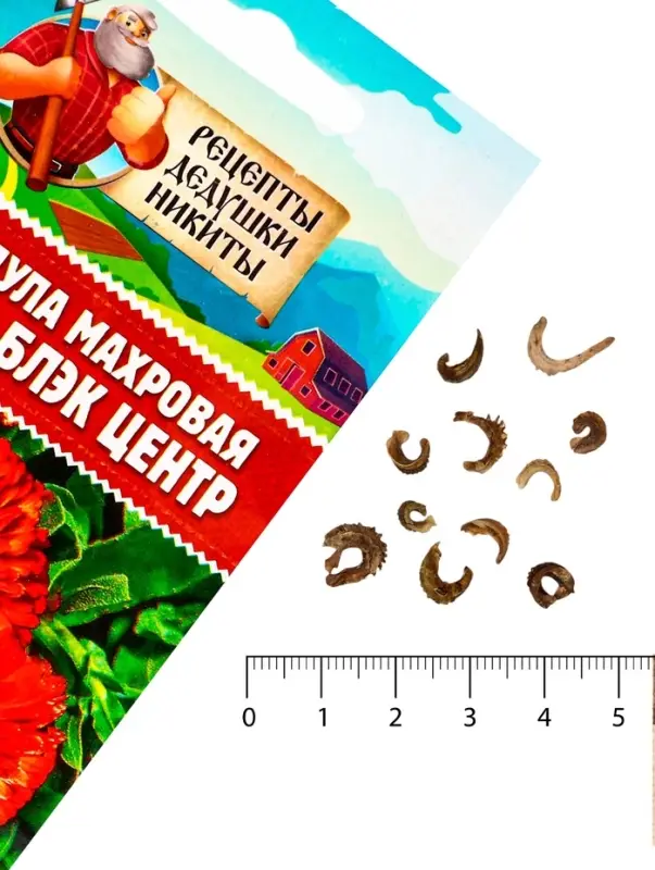 Семена цветов Календула махровая  Семена цветов Календула махровая "Ред виз блэк центр", 0,3 г