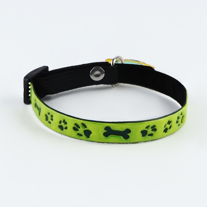 Ошейник светоотражающий «Лапки» с подвесом, 30 х 1 см, цвет зелёный Ошейник светоотражающий «Лапки» с подвесом, 30 х 1 см, цвет зелёный