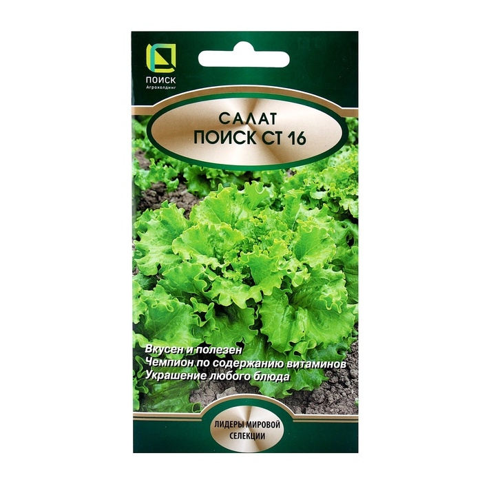 Семена Салат Поиск СТ16, 1гр Семена Салат Поиск СТ16, 1гр