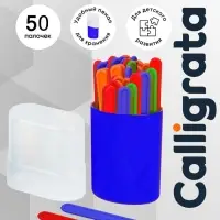Счетные палочки 50 штук в пенале Calligrata, МИКС