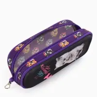 Рюкзак школьный для девочки, с эргономичной спинкой, с пеналом, 30&times;12&times;36 см, разноцветный