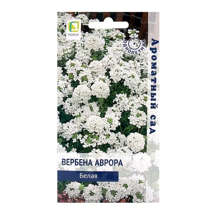 Семена цветов Вербена Аврора Белая, 10шт Семена цветов Вербена Аврора Белая, 10шт