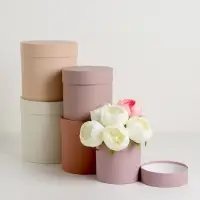 Набор круглых коробок 5 в 1 &laquo;Нюд&raquo;, 20&times;20&times;20 - 11&times;11&times;11 см