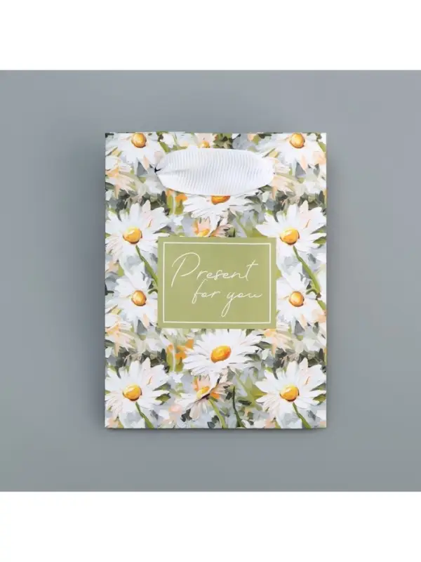 Пакет подарочный ламинированный, упаковка, Present, 9&times;12&times;6.5 см