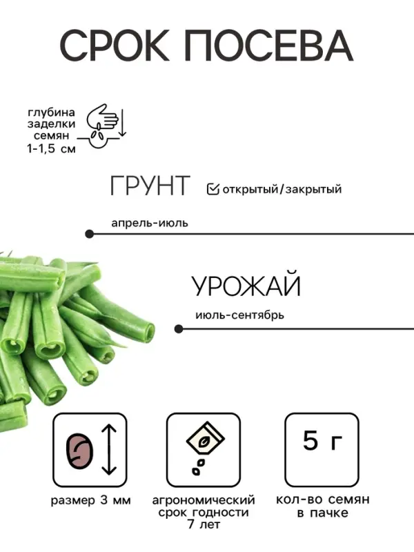 Семена Фасоль спаржевая &laquo;Нерина&raquo;, 5 г, &laquo;СеДеК&raquo;