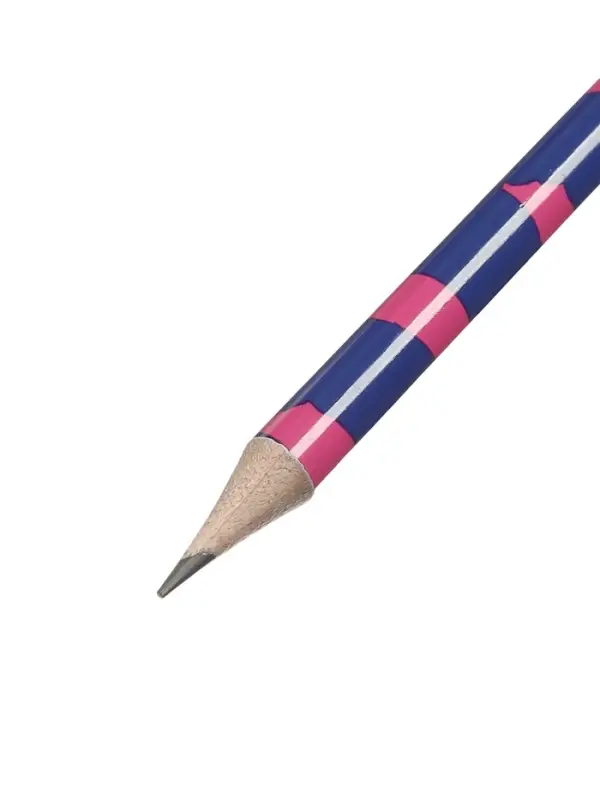 Карандаш чернографитный ErichKrause Pinna Kotta, круглый, с ластиком, HB, в тубусе, МИКС