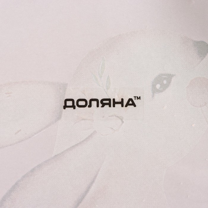 Блюдо стеклянное сервировочное Доляна «Кролик», 21×13,5×1,8 см, цвет розовый Блюдо стеклянное сервировочное Доляна «Кролик», 21×13,5×1,8 см, цвет розовый