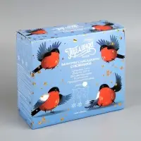 Гирлянда &laquo;Бахрома&raquo; 2.4&times;0.9 м с насадками &laquo;Снежинки&raquo;, IP20, прозрачная нить, 150 LED, свечение белое, 8 режимов, 220 В