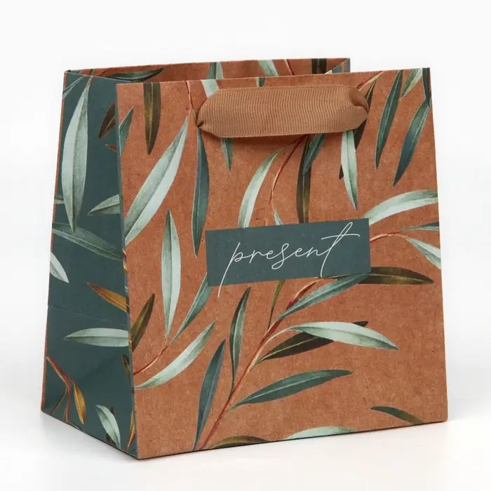 Пакет подарочный крафтовый квадратный, упаковка, «Present», 14 х 14 х 9 см Пакет подарочный крафтовый квадратный, упаковка, «Present», 14 х 14 х 9 см