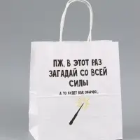 Пакет подарочный, крафтовый &laquo;Новогодний 2&raquo;, 22&times;25&times;12 см