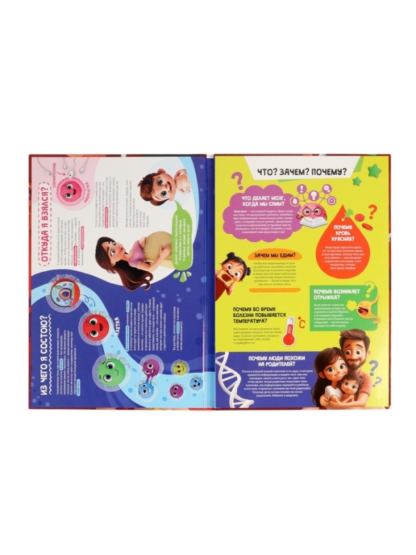 Книга - раскладушка детская «Как устроено моё тело», 40 окошек Книга - раскладушка детская «Как устроено моё тело», 40 окошек