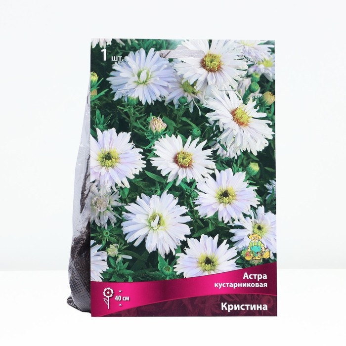 Астра кустарниковая «Кристина», корневище в торфогрунте, р-р I, 1 шт. Астра кустарниковая «Кристина», корневище в торфогрунте, р-р I, 1 шт.