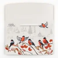 Пакет—коробка «Зима в деревне», снегири, 28 х 20 х 13 см