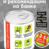 Набор для опытов ЭВРИКИ &laquo;Мой мини-сад&raquo;, помидор