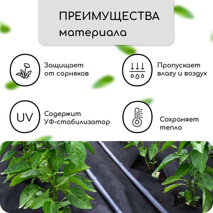 Материал мульчирующий, с перфорацией, 10 × 0,8 м, плотность 80 г/м², спанбонд с УФ-стабилизатором, чёрный, Greengo, Эконом 30%