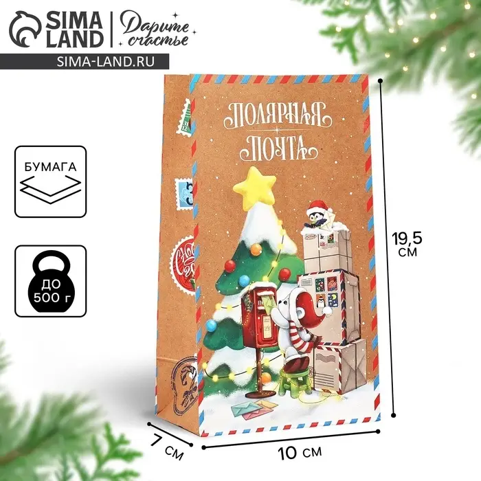 Пакет подарочный без ручек «Полярная почта», 10×19.5×7 см Пакет подарочный без ручек «Полярная почта», 10×19.5×7 см