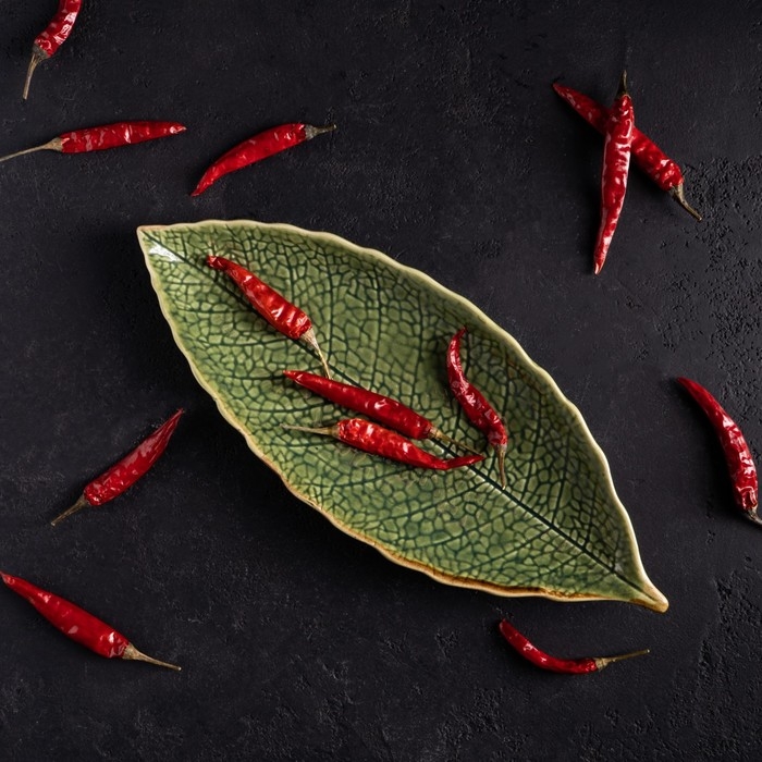 Блюдо керамическое сервировочное «Дендрарий», 26×10,5×1,5 см, цвет зелёный Блюдо керамическое сервировочное «Дендрарий», 26×10,5×1,5 см, цвет зелёный