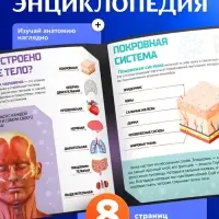 Набор для опытов &laquo;Строение тела&raquo;, анатомия человека