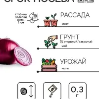 Семена Лук репчатый «Красный», 0.3 г