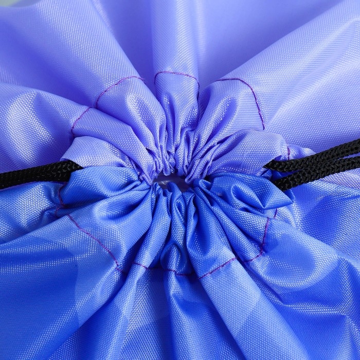 Мешок для обуви «Очаровательный щенок» болоньевый материал, 30 х 40 см Мешок для обуви «Очаровательный щенок» болоньевый материал, 30 х 40 см