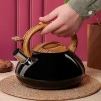 VETTA Чайник стальной 2,8л "Лоренцо", индукция