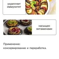 Семена Баклажан &laquo;Универсал 6&raquo;, 0.1 г, &laquo;Аэлита&raquo;
