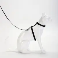 Комплект для кошек, ширина 1 см, ОШ 16.5-27 см, ОГ 21-35 см, поводок 120 см, чёрный