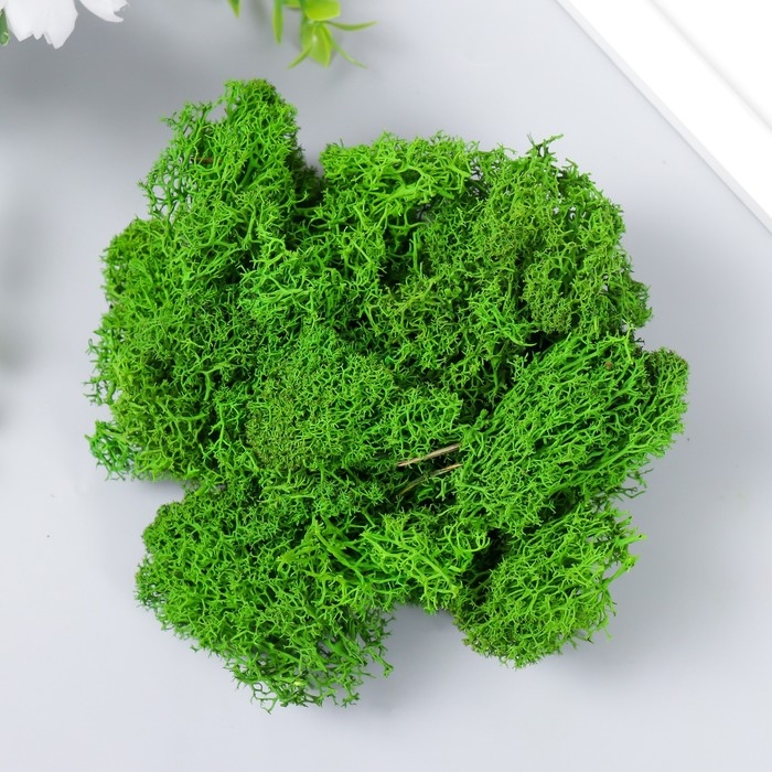 Мох стабилизированный Мох стабилизированный "Салатовый" 500 гр (+-5 гр).