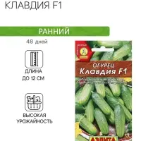 Семена Огурец "Клавдия F1", раннеспелый, партенокарпическии, 10 шт