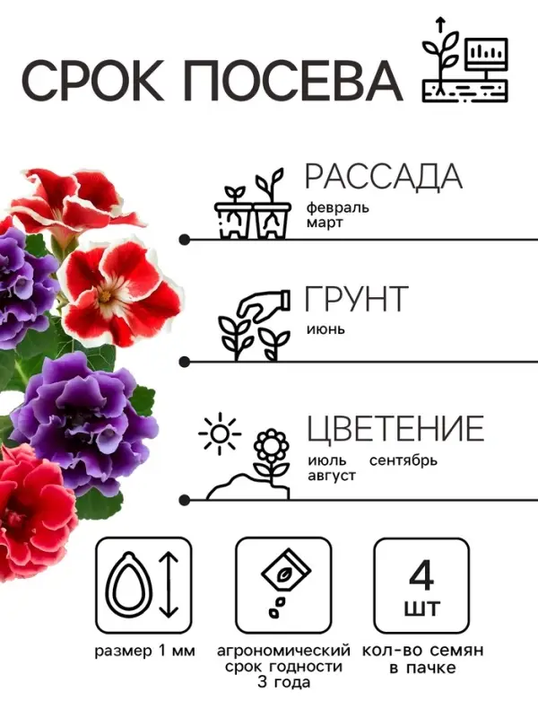 Семена комнатных цветов Глоксиния &laquo;Аванти&raquo;, смесь, F1, 4 шт., &laquo;Гавриш&raquo;