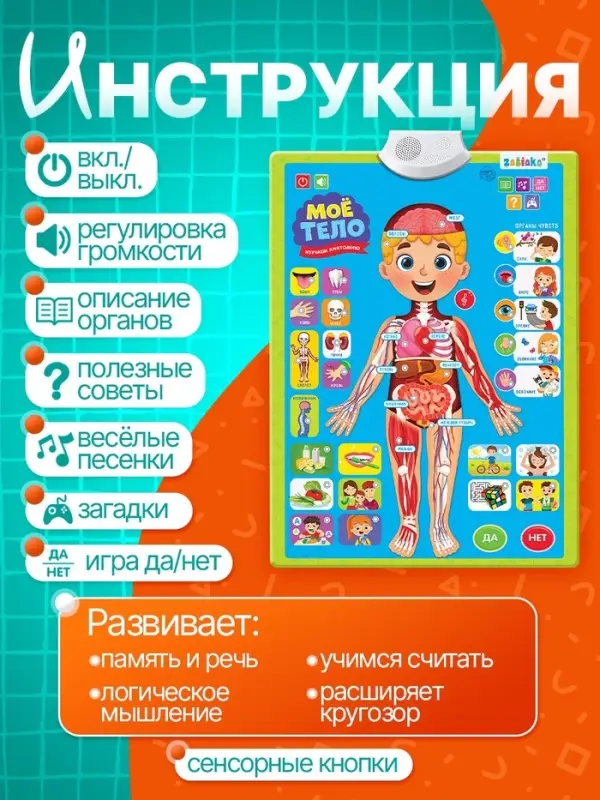 Обучающий плакат &laquo;Изучаем анатомию: Моё тело&raquo;