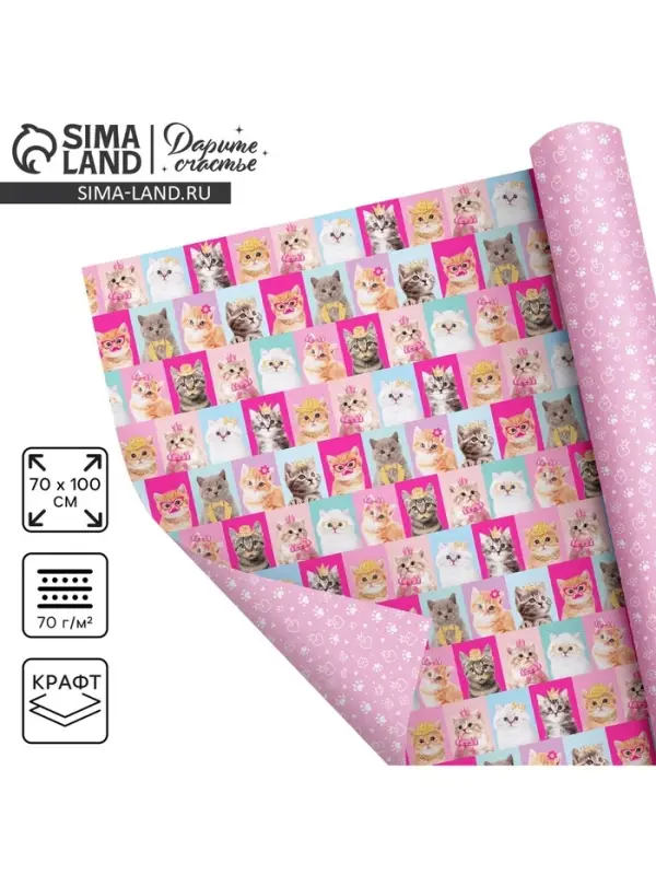 Бумага упаковочная двухсторонняя крафтовая &laquo;Коты&raquo;, 70 х 100 см