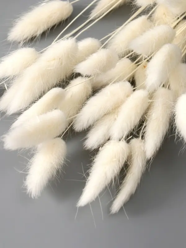 Декор сухоцвет Декор сухоцвет "Лагурус" (набор 30 шт) 55 см, белый