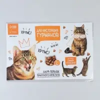 Коврик под миску &laquo;Для настоящих гурманов&raquo; 43&times;28 см